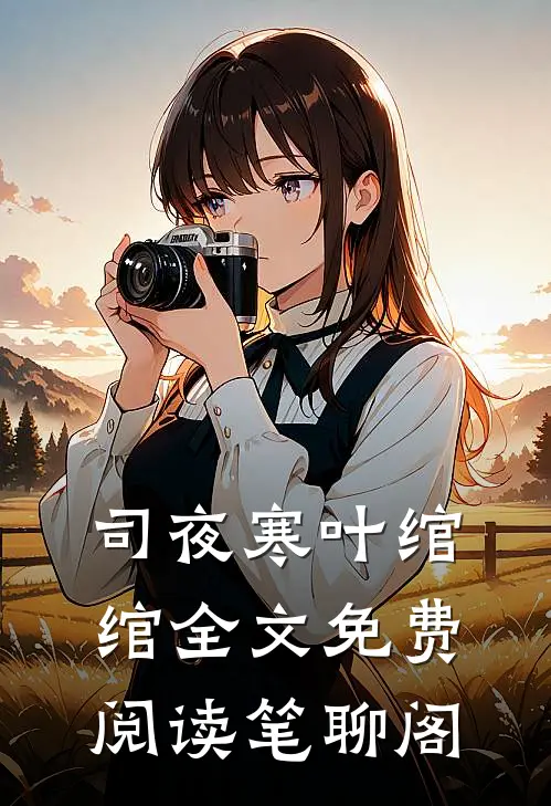 司夜寒叶绾绾全文免费阅读笔聊阁