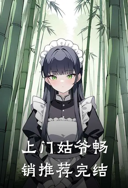 上门姑爷畅销推荐完结