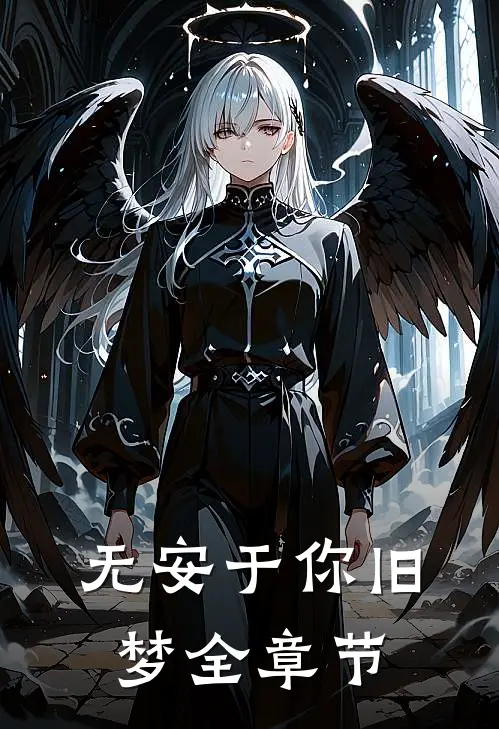 无安于你旧梦全章节