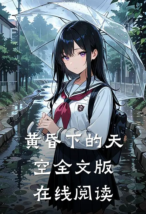 黄昏下的天空全文版在线阅读