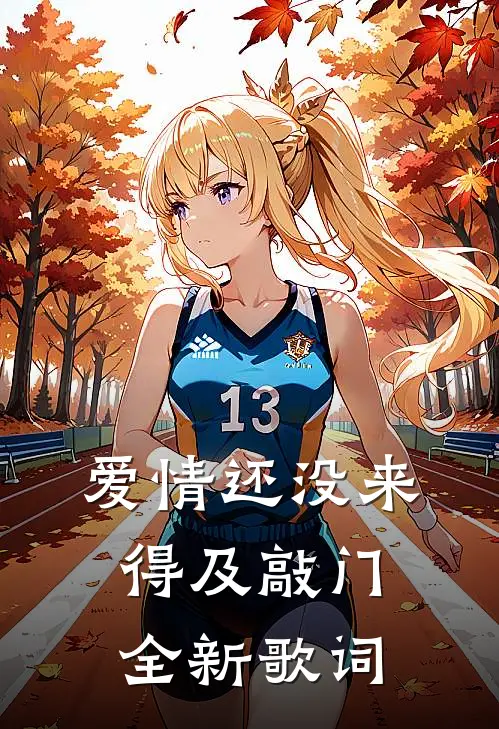爱情还没来得及敲门全新歌词