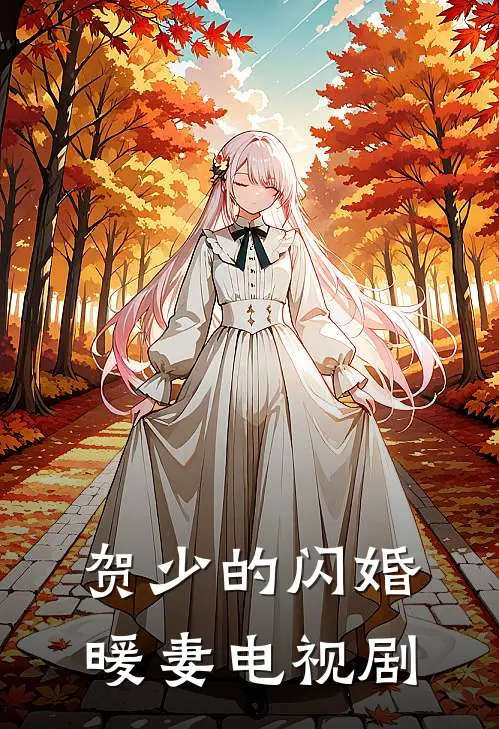 贺少的闪婚暖妻电视剧