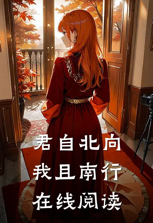 君自北向,我且南行在线阅读_