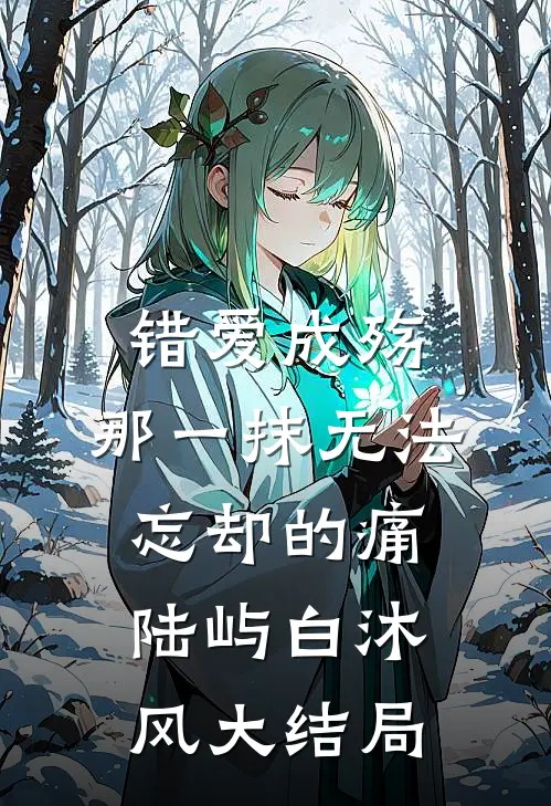 错爱成殇：那一抹无法忘却的痛陆屿白沐风大结局