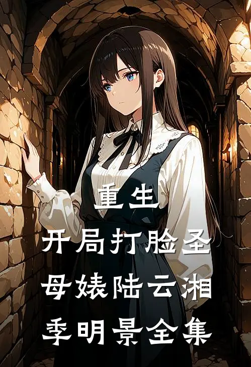 重生：开局打脸圣母婊陆云湘季明景 全集