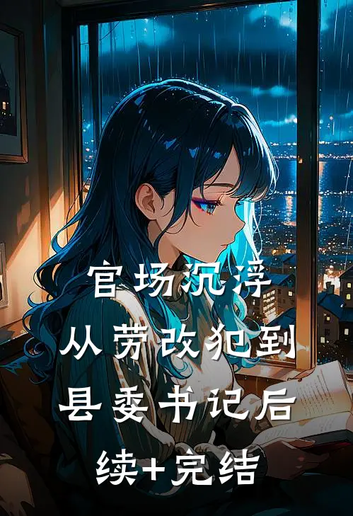 官场沉浮：从劳改犯到县委书记后续+完结