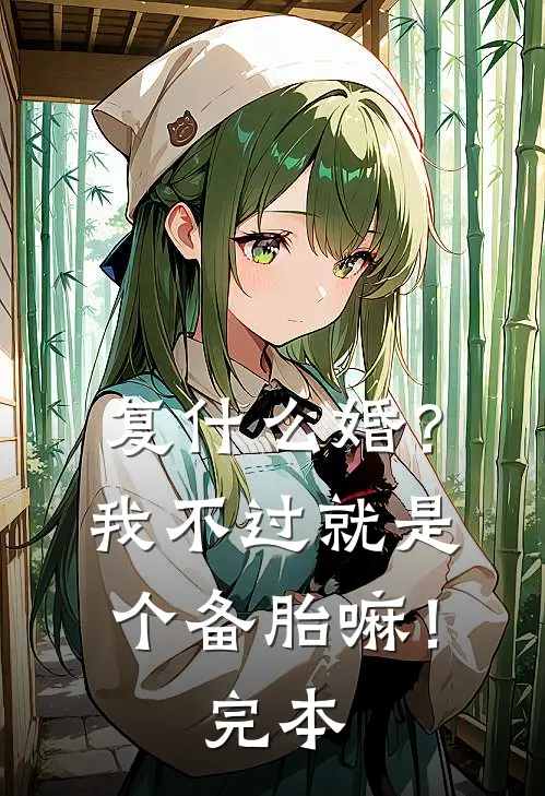 复什么婚？我不过就是个备胎嘛！完本
