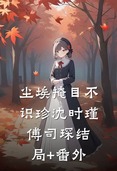 尘埃掩目不识珍沈时瑾傅司琛结局+番外