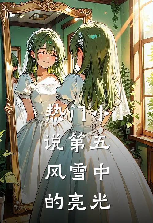 热门小说第五：风雪中的亮光