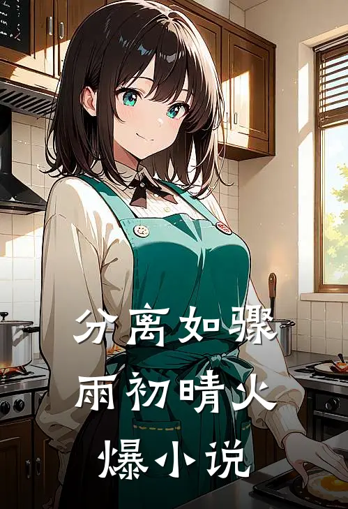 分离如骤雨初晴火爆小说