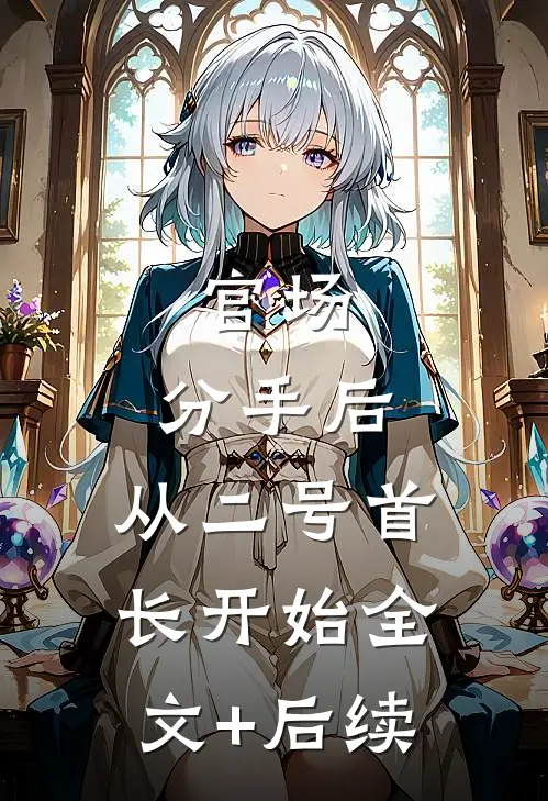 官场：分手后，从二号首长开始全文+后续