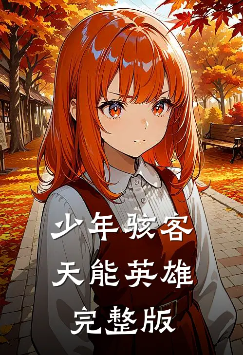 少年骇客：天能英雄完整版