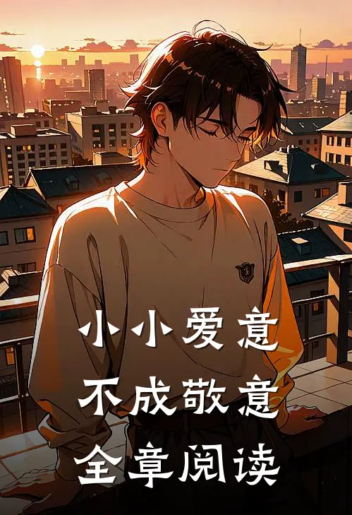 小小爱意，不成敬意全章阅读