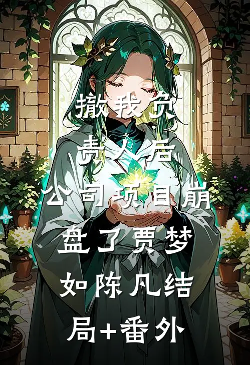 撤我负责人后，公司项目崩盘了贾梦如陈凡结局+番外