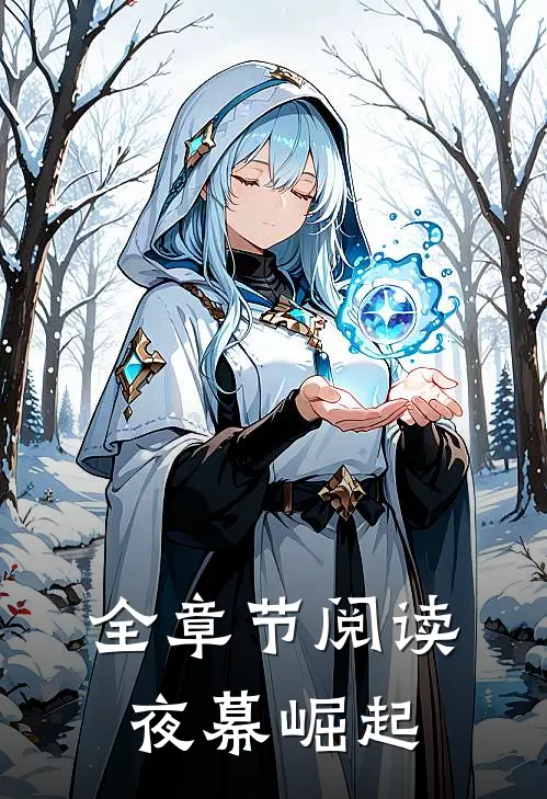 全章节阅读夜幕崛起