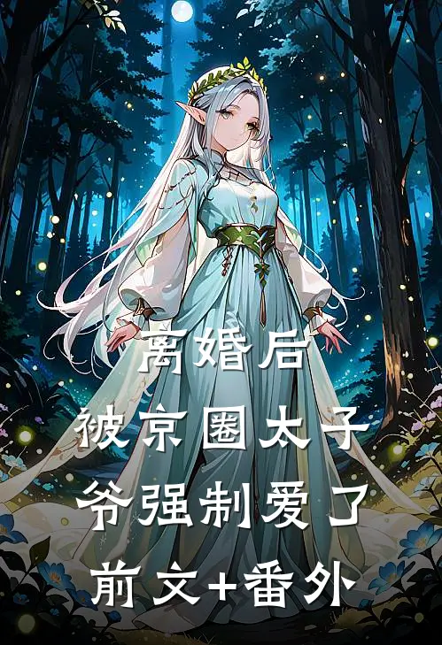 离婚后，被京圈太子爷强制爱了前文+番外