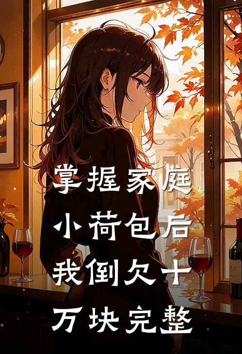掌握家庭小荷包后，我倒欠十万块完整