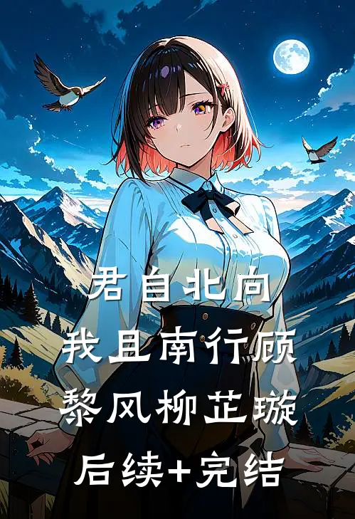 君自北向,我且南行顾黎风柳芷璇后续+完结