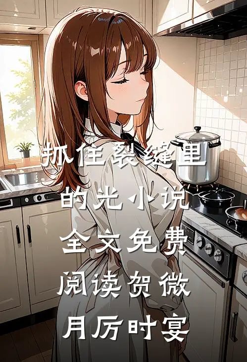 抓住裂缝里的光小说全文免费阅读贺微月厉时宴