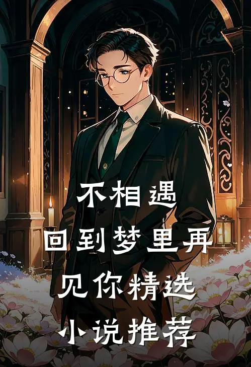 不相遇：回到梦里再见你精选小说推荐