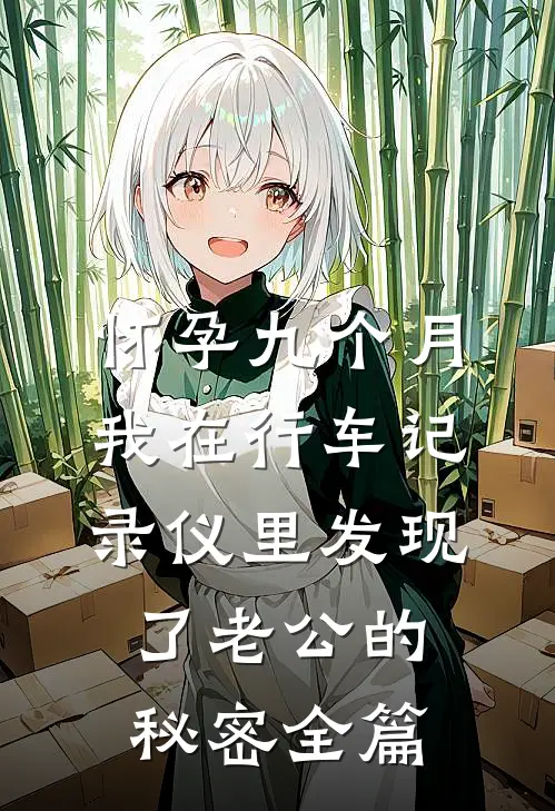 怀孕九个月，我在行车记录仪里发现了老公的秘密全篇