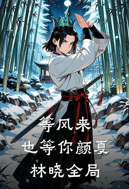 等风来，也等你颜夏林晓全局