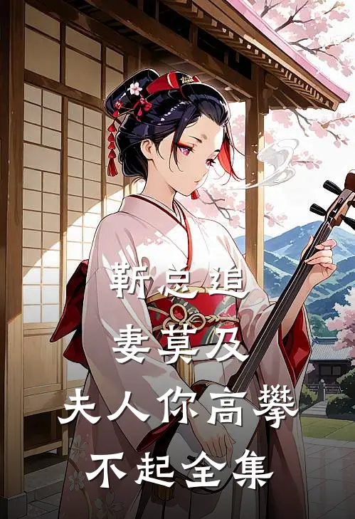 靳总追妻莫及，夫人你高攀不起全集