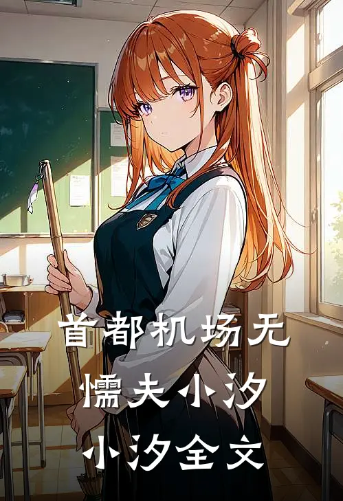 首都机场无懦夫小汐小汐全文