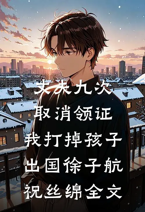 丈夫九次取消领证，我打掉孩子出国徐子航祝丝绵全文