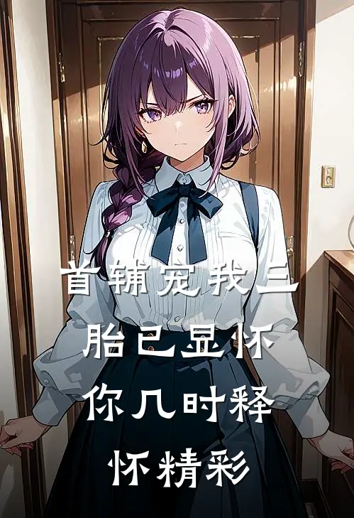 首辅宠我三胎已显怀，你几时释怀精彩