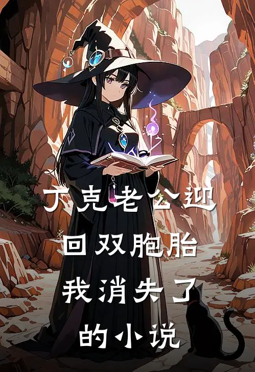 丁克老公迎回双胞胎，我消失了的小说
