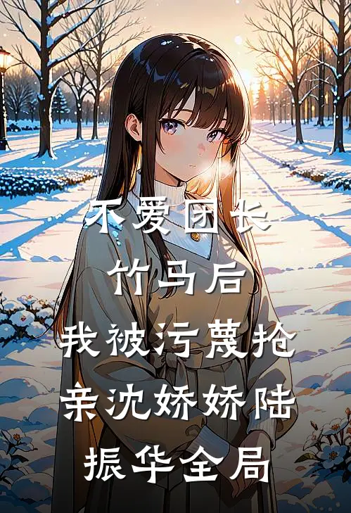 不爱团长竹马后，我被污蔑抢亲沈娇娇陆振华全局