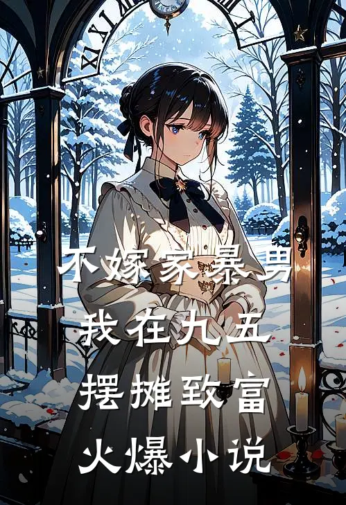 不嫁家暴男，我在九五摆摊致富火爆小说