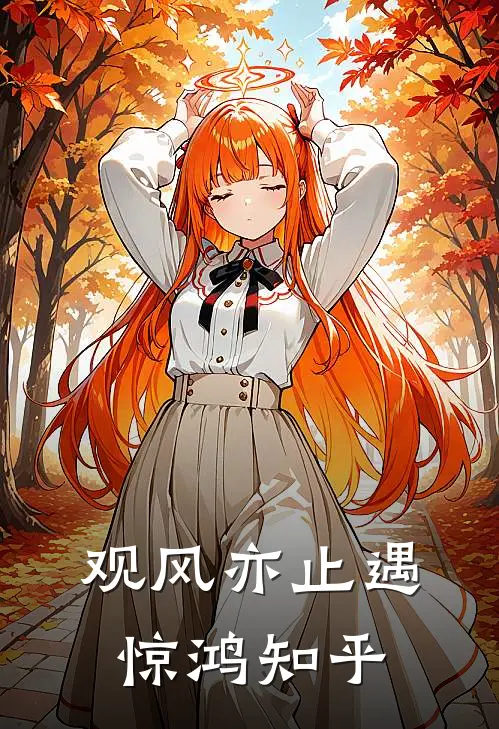 观风亦止遇惊鸿知乎