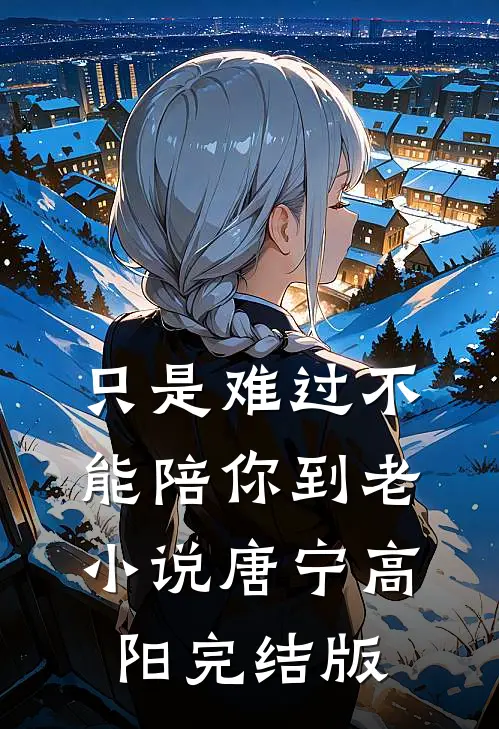 只是难过不能陪你到老小说唐宁高阳完结版