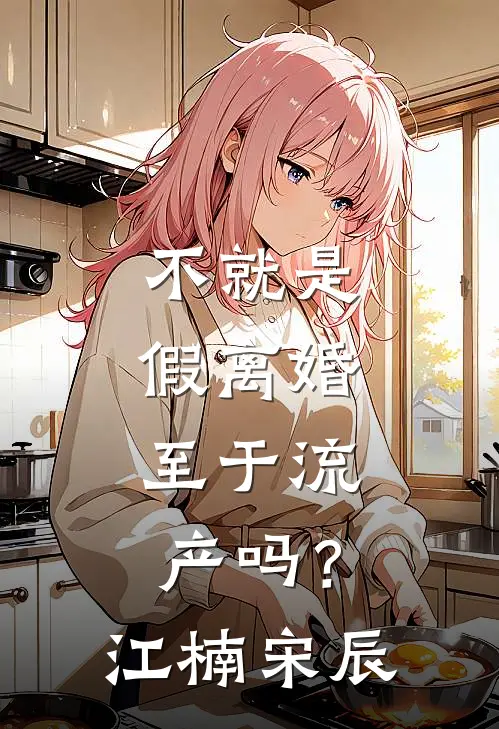 不就是假离婚，至于流产吗？江楠宋辰