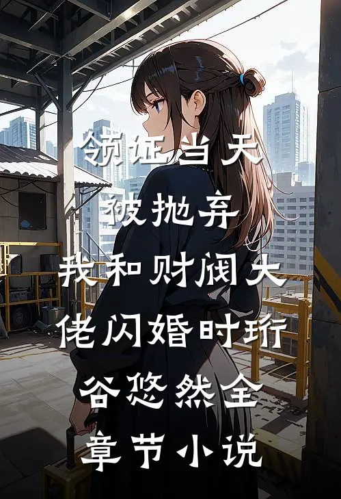 领证当天被抛弃，我和财阀大佬闪婚时珩谷悠然全章节小说