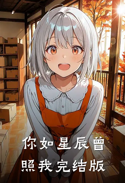 你如星辰曾照我完结版