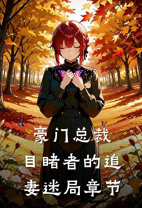 豪门总裁：目睹者的追妻迷局章节
