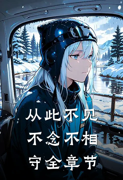 从此不见不念不相守全章节