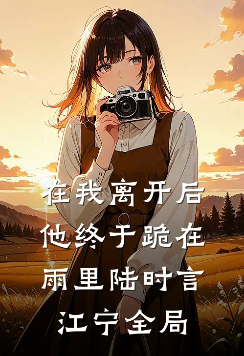 在我离开后，他终于跪在雨里陆时言江宁全局