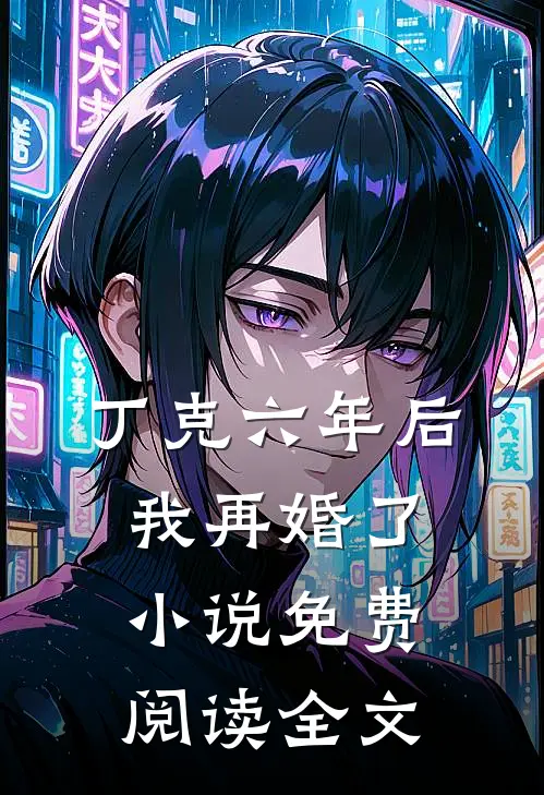 丁克六年后，我再婚了小说免费阅读全文