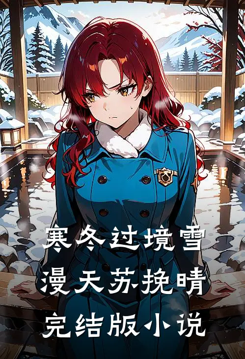 寒冬过境雪漫天苏挽晴完结版小说