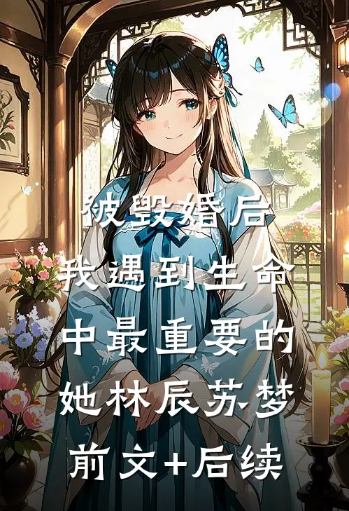 被毁婚后，我遇到生命中最重要的她林辰苏梦前文+后续