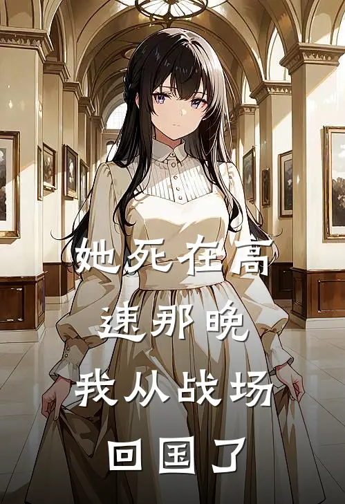 她死在高速那晚，我从战场回国了
