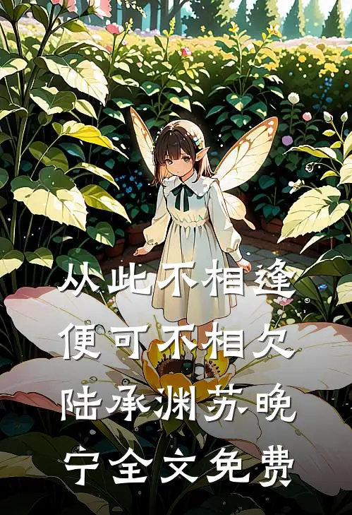 从此不相逢，便可不相欠陆承渊苏晚宁全文免费