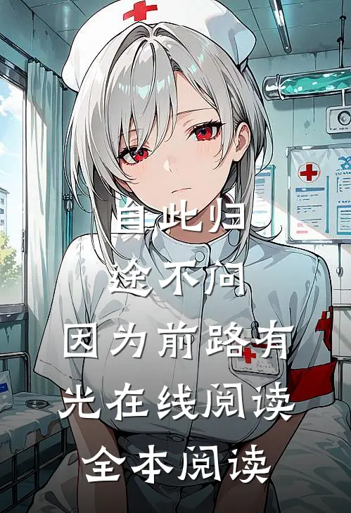 自此归途不问，因为前路有光在线阅读全本阅读