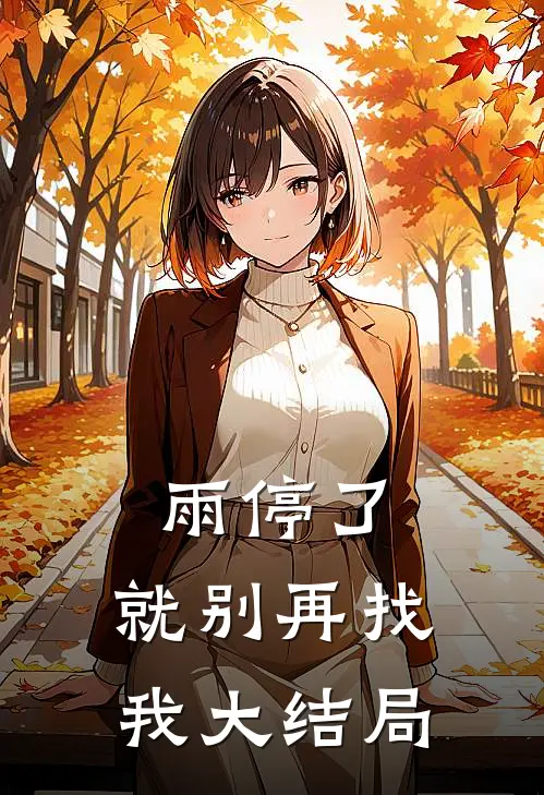 雨停了，就别再找我大结局