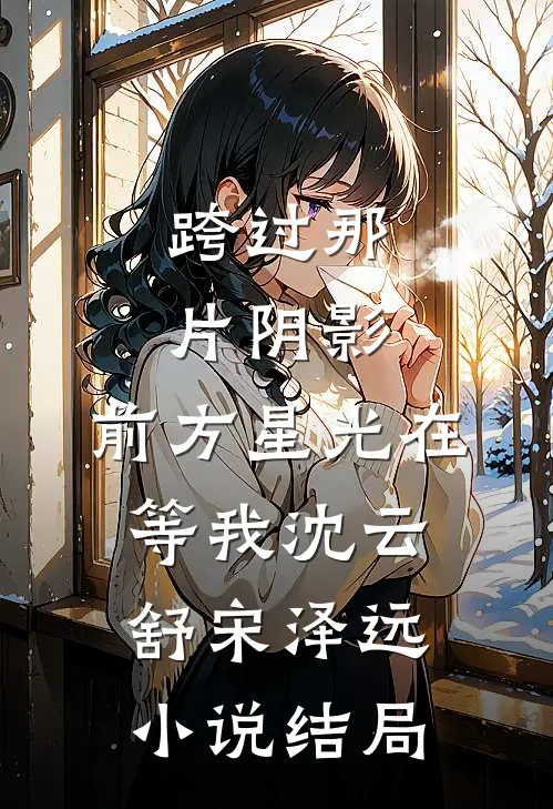 跨过那片阴影，前方星光在等我沈云舒宋泽远小说结局