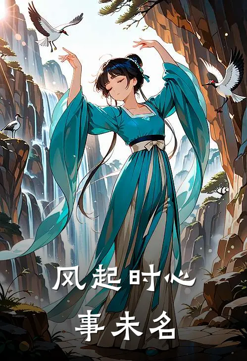 风起时心事未名